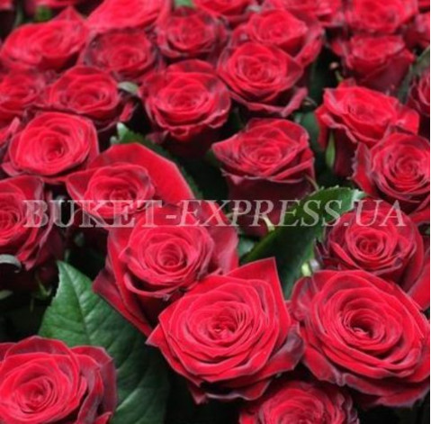 Миллион алых роз 2 доставка цветов