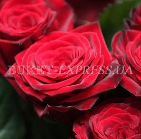 Миллион алых роз 3 доставка цветов