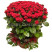 Миллион алых роз доставка цветов ракурс Миллион алых роз 1 доставка цветов ракурс
