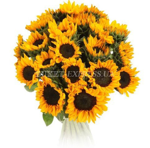 Букет Соняшник доставка квітів
