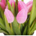 Тюльпан рожевий 3 доставка квітів ракурс
