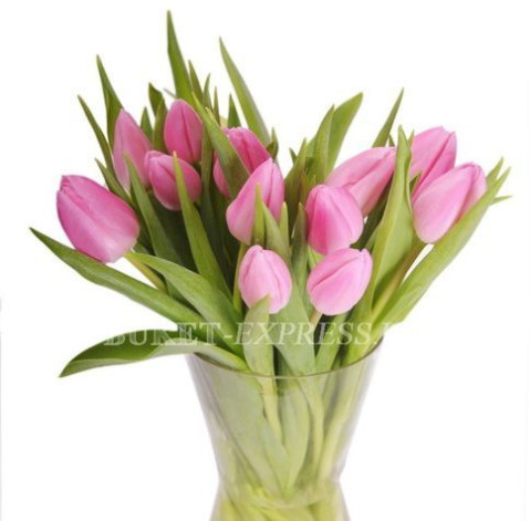 Тюльпан рожевий 2 доставка квітів