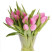 Тюльпан рожевий 2 доставка квітів ракурс