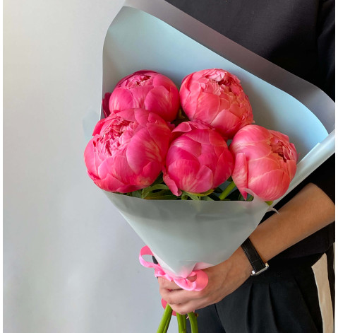 Півонія коралова Корал Сансет 2 доставка квітів