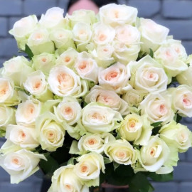 Rosa White Ohara Flower delivery Rosa White Ohara Flower delivery