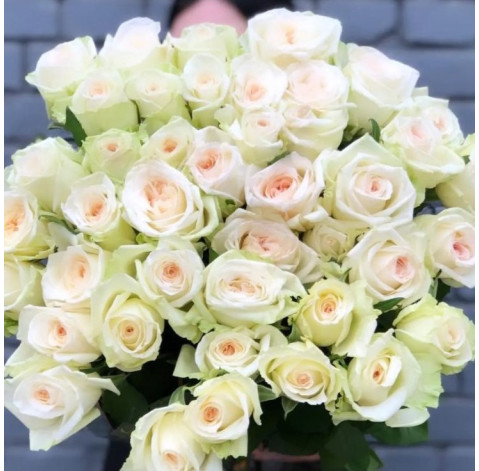 Rosa White Ohara 1 Flower delivery