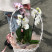 Basket of orchids 2 Flower delivery foreshortening