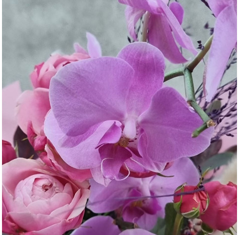 Bouquet Coquette 3 Flower delivery