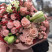 Bouquet A wedding of taste and beauty 4 Flower delivery foreshortening