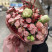 Bouquet A wedding of taste and beauty 2 Flower delivery foreshortening