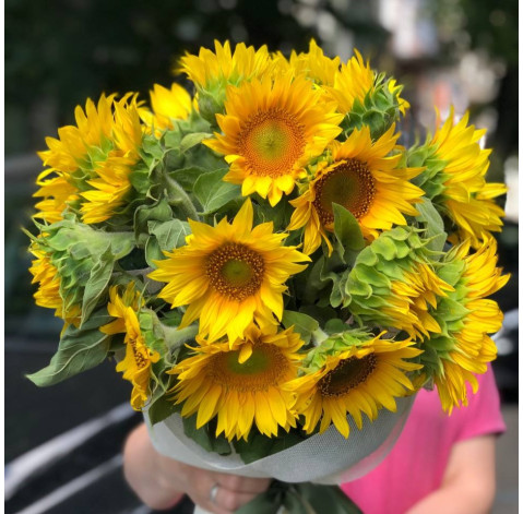 Букет 21 соняшник (місцевий) 3 доставка квітів