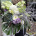 Bouquet Impressionism 3 Flower delivery foreshortening