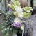 Bouquet Impressionism 4 Flower delivery foreshortening