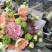 Bouquet Royal Peaches 6 Flower delivery foreshortening