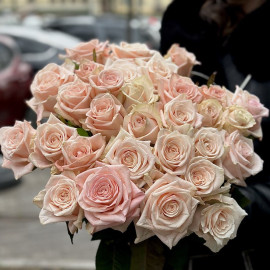 Rosa Kimberly Flower delivery Rosa Kimberly Flower delivery