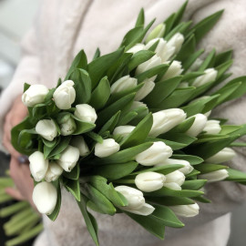 Тюльпан білий доставка квітів