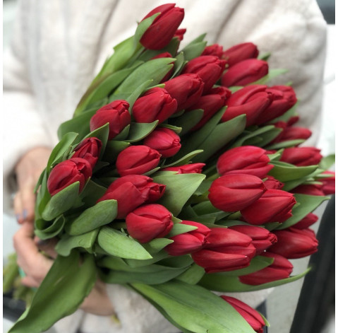 Тюльпан червоний 2 доставка квітів