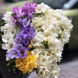Freesia Flower delivery