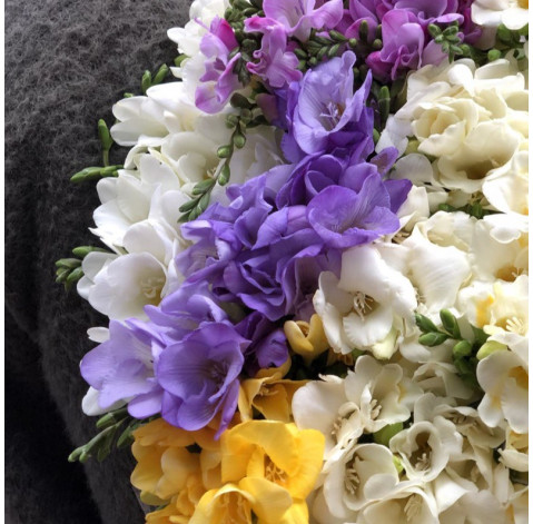 Freesia 3 Flower delivery