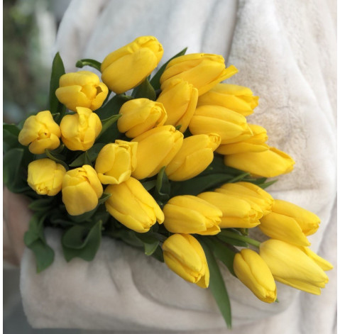 Tulip yellow 1 Flower delivery