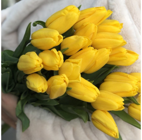 Тюльпан жовтий 2 доставка квітів