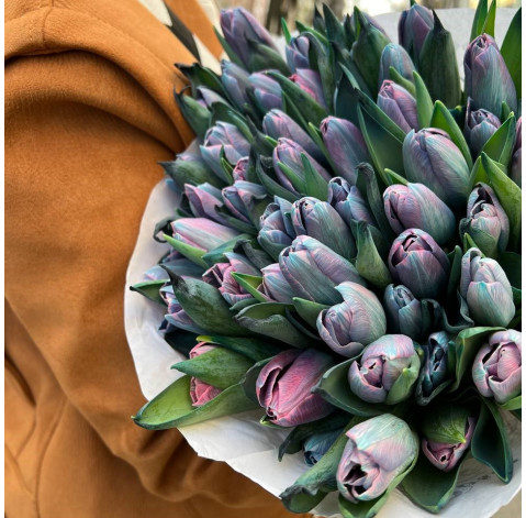 Тюльпан крашеный 2 доставка цветов