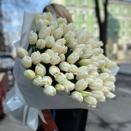 Букет 151 білий тюльпан доставка квітів Букет 151 білий тюльпан доставка квітів