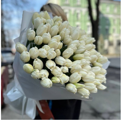 Букет 151 білий тюльпан 1 доставка квітів