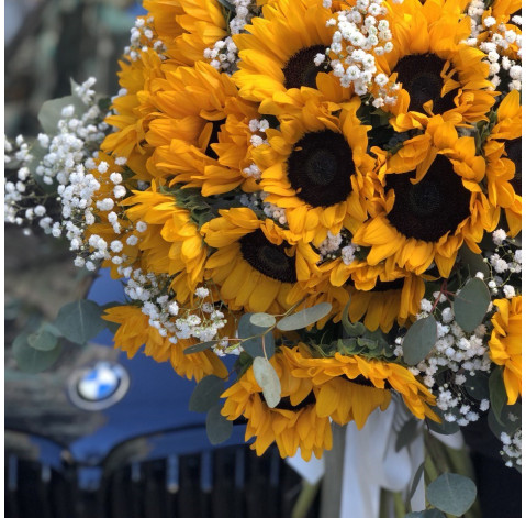 Bouquet 49 sunflowers 5 Flower delivery
