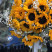 Bouquet 49 sunflowers 5 Flower delivery foreshortening