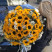 Bouquet 49 sunflowers 4 Flower delivery foreshortening