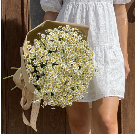 Букет 25 ромашок танацетум 2 доставка квітів