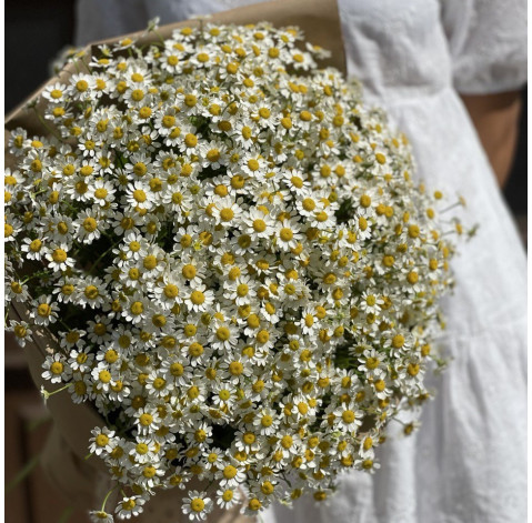 Букет 25 ромашок танацетум 3 доставка квітів