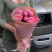 Bouquet of 3 roses Silva Pink 2 Flower delivery foreshortening