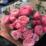 Bouquet of 7 roses Silva Pink Flower delivery foreshortening Bouquet of 7 roses Silva Pink 2 Flower delivery foreshortening