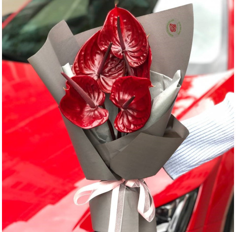 Bouquet of 5 anthuriums 1 Flower delivery