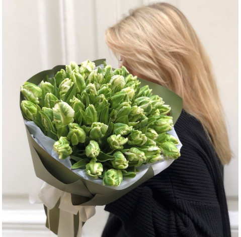 Bouquet 51 green tulips 1 Flower delivery
