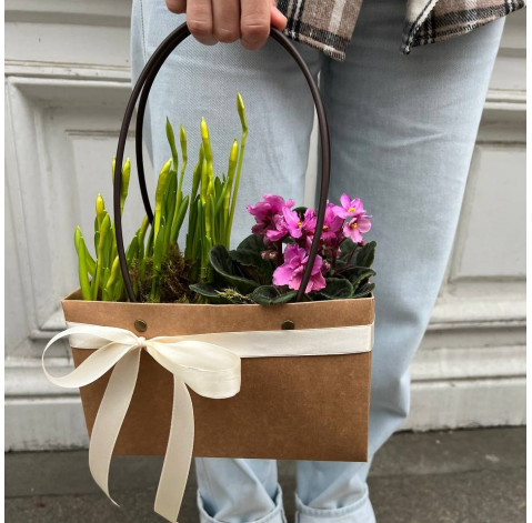 Flower arrangement of primroses 5 Flower delivery