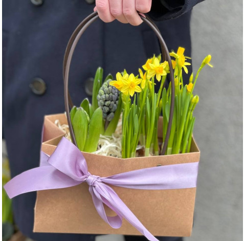 Flower arrangement of primroses 3 Flower delivery