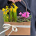 Flower arrangement of primroses 4 Flower delivery foreshortening