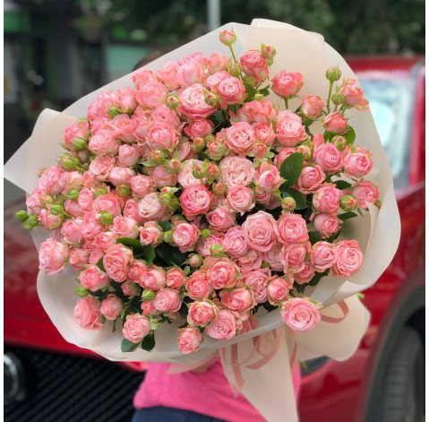 Bouquet of 25 roses Madame Bombastic 1 Flower delivery