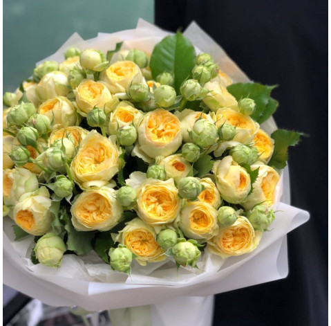 Bouquet of 17 roses Peony Bubbles 2 Flower delivery