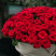 Bouquet 101 roses Red Naomi 3 Flower delivery foreshortening