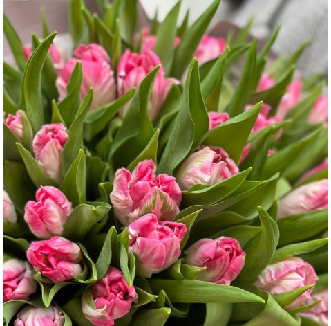 Букет із 35 тюльпанів 4 доставка квітів