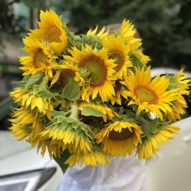 Соняшник Україна доставка квітів