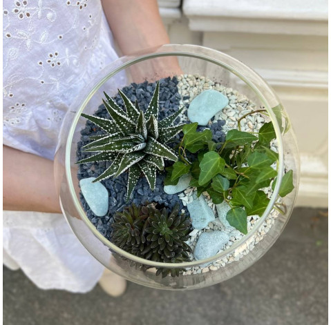 Florarium Sphere 2 Flower delivery