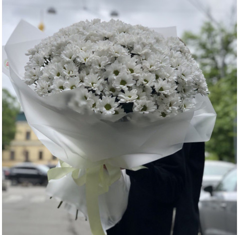 Bouquet of 35 chrysanthemums 1 Flower delivery