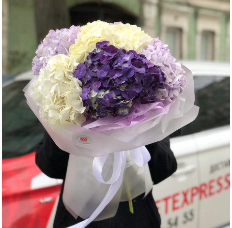 Bouquet 7 hydrangeas 1 Flower delivery