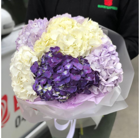 Букет 7 гортензій 2 доставка квітів