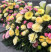 Composition for the funeral ceremony yellow-pink 4 Flower delivery foreshortening